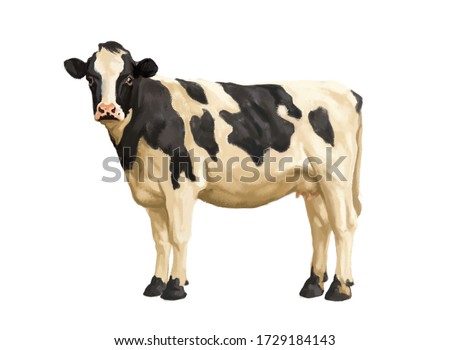 Cow watercolor illustration isolated on white