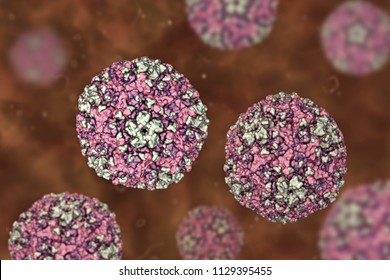 Coxsackievirus, 3D illustration. RNA virus from Picornaviridae family, the genus Enterovirus, causes hand, foot and mouth disease, meningitis, myocarditis, acute hemorrhagic conjunctivitis and other
