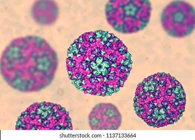 Coxsackievirus, 3D illustration. RNA virus from Picornaviridae family, the genus Enterovirus, causes hand, foot and mouth disease, meningitis, myocarditis, acute hemorrhagic conjunctivitis and other