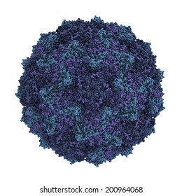 Coxsackievirus A21. Coxsackieviruses can cause meningitis, hand, foot and mouth disease, etc. Atomic-level structure.	