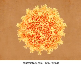 Coxsackievirus, like the poliovirus, belongs to the enterovirus. They are among the most common and important human pathogens. They cause cold, viral meningitis and myorcarditis. 3d rendering