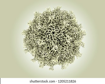 Coxsackievirus, like the poliovirus, belongs to the enteroviruses. They are among the most common and important human pathogens. Coxsackieviruses cause cold, meningitis and myorcarditis. 3d rendering