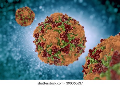 Coxsackievirus It is somewhat of enteroviruses, which are well propagated in the stomach and intestines of humans.