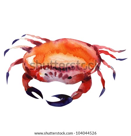 crab. watercolor painting on white background