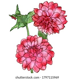 Creative composition with the image of garden flowers. Spring and summer flowers close-up on a white background, imitation watercolor, vintage. Design for printing on paper or fabric.