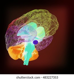 Creative concept of the human brain. 3D illustration. Vintage style.