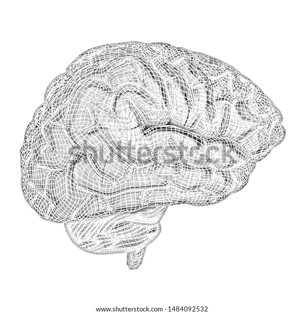 Creative Concept Human Brain Pencil Drawing Stock Illustration ...