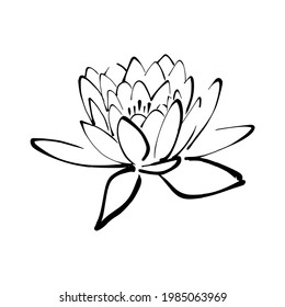 Creative design beautiful black ink painting of lotus flower isolated on white square background, simple but elegant concept Asia style lotus watercolor drawing, traditional Chinese watercolor - Powered by Shutterstock