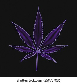 purple weed leaves