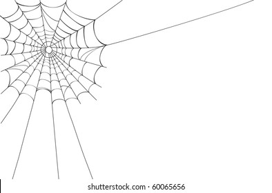 Creepy Spider Web In The Corner. Isolated Over White Background With Room For Your Text.