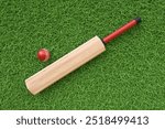 Cricket bat and ball on the grass. 3d-rendering