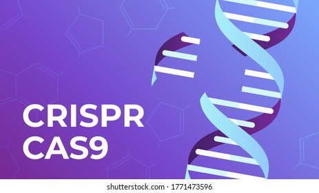 CRISPR CAS9. DNA gene editing tool, genes biotechnology and human genome engineering  illustration. science medical concept