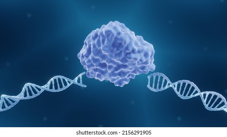 CRISPR, Endonuclease enzyme, 3d illustration