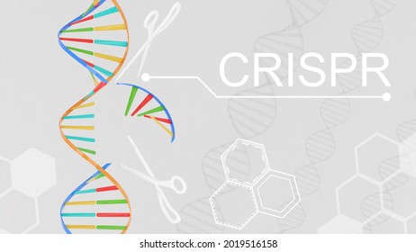 CRISPR genetic editing technology,crispr-cas9,Genetic editing technology for life,Research on DNA,3d rendering