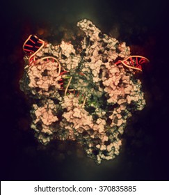 CRISPR-CAS9 gene editing complex from Streptococcus pyogenes. The Cas9 nuclease protein uses a guide RNA sequence to cut DNA at a complementary site. Used in genome engineering and gene therapy.
