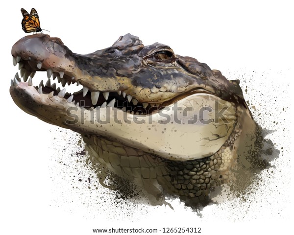 monarch croc