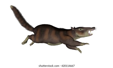 Cronopio Dentiacutus Prehistoric Mammal 3d Render Stock Illustration ...