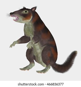 Cronopio Dentiacutus Prehistoric Mammal 3d Render 库存插图 420114667 ...