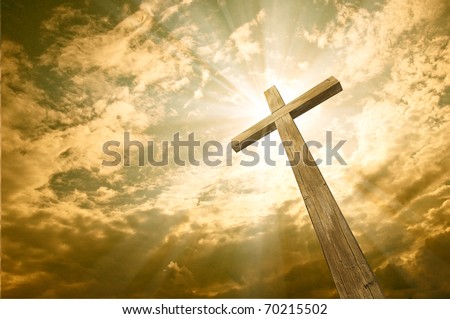 Similar – Image, Stock Photo ray of hope trees Shadow