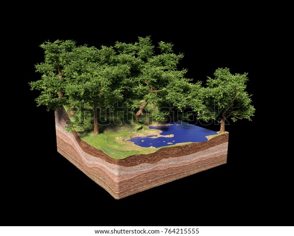 Cross Section Ground Lake Forest Beach Stock Illustration 764215555