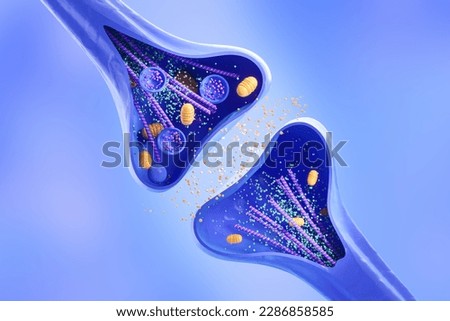 Cross section of a synapse or neuron in the process of connection and signal transmission. Concept of anatomy of a synapse cells. 3d rendering