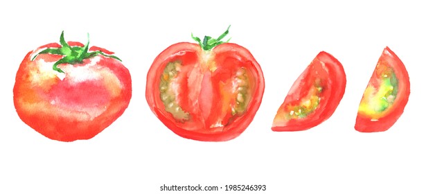 野菜 断面 のイラスト素材 画像 ベクター画像 Shutterstock