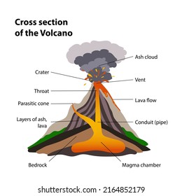 Cross Section Volcano Stock Illustration 2164852179 | Shutterstock