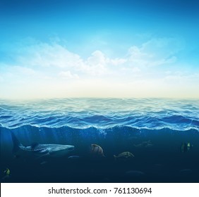 cross section water, ocean slice, fishes under water. 3d illustration