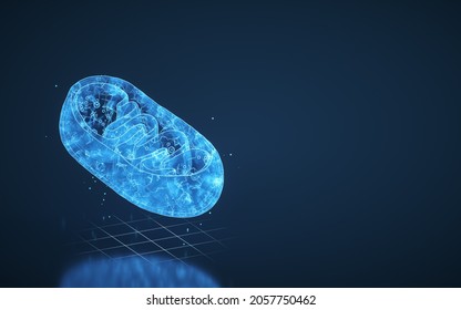 Cross-section view of Mitochondria, 3d rendering. Computer digital drawing.