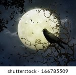 Crow and moon at night