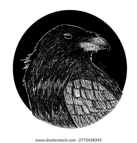 Crows are intelligent birds and often forage around human settlements, especially in areas that are potentially rotting or dirty.