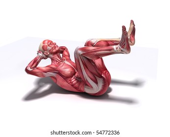 crunch - abs workout