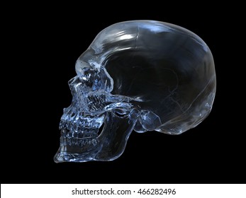 https://image.shutterstock.com/image-illustration/crystal-skull-side-view-3d-260nw-466282496.jpg