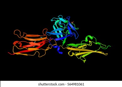 Crystal Structure Analysis Of The FGF10-FGFR2b Complex. Fibroblast Growth Factors Are A Family Of Growth Factors Involved In Angiogenesis, Wound Healing And Embryonic Development.