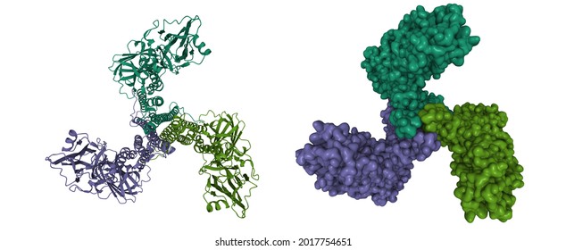 Crystal structure of Bacillus thuringiensis Cry5B nematocidal toxin, 3D cartoon and Gaussian surface models, chain instance color scheme, based on PDB 4d8m, white background
