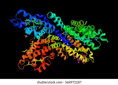 Crystal Structure Bphycoerythrin Red Algae Porphyridium: ภาพประกอบสต็อก ...