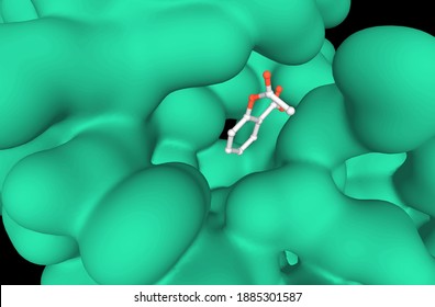 Crystal Structure Of A Complex Formed Between Group II Phospholipase A2 (green) And Aspirin, 3D Model, Black Background