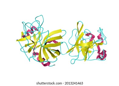 Crystal Structure Human Granzyme B That: ภาพประกอบสต็อก 2013241463 ...