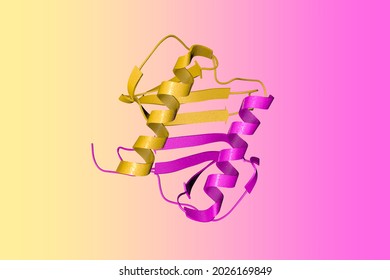 Crystal structure of human interleukin-8 in solution. Ribbons diagram with differently colored protein chains based on protein data bank entry 1il8. Scientific background. 3d illustration