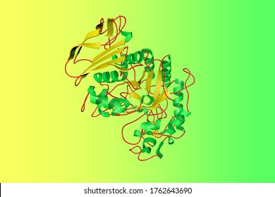 Crystal Structure Of Human Salivary Amylase, A Glucose-polymer Cleavage Enzyme That Produced By The Salivary Glands And Breaks Down Complex Carbohydrates Into Simple Sugars. 3d Illustration