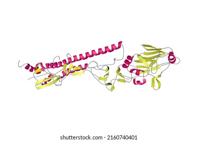 Crystal Structure Of The Influenza Virus Hemagglutinin. Ribbons Diagram In Secondary Structure Coloring Based On Protein Data Bank Entry 2viu. Scientific Background. 3d Illustration