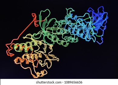 The crystal structure of the protein. Molecular Graphic, 3D model.