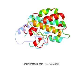 The Crystal Structure Of The Tumor Marker Protein. The 3D Model Of The Biological Macromolecule.