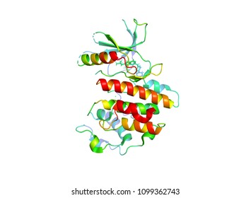 The Crystal Structure Of The Tumor Marker Protein. The 3D Model Of The Biological Macromolecule.