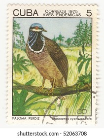 Cuban postage stamp. A stamp show bird, circa 1975