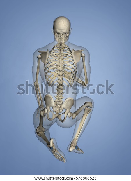 Cuboid Bone 3d Model のイラスト素材