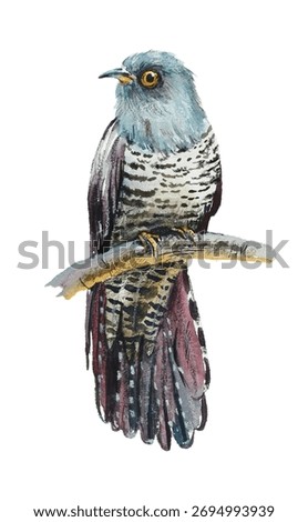 Cuckoo. Pattern with bird. Hand drawn illustration mix media: watercolor, oil pastel, color pensil