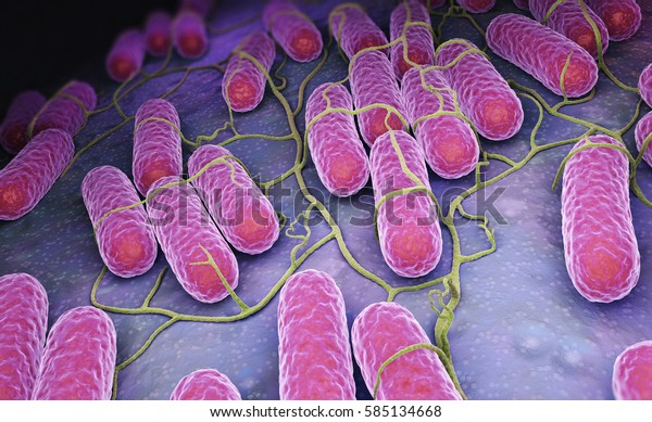 Culture of\
Salmonella bacteria. 3D\
illustration