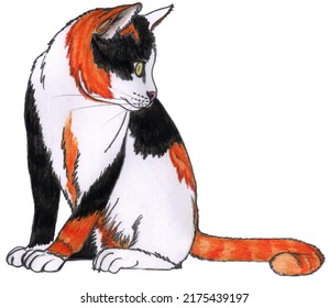 Curious Three Coloured Street Cat Is Sitting Looking Back On The White Background. Pencil And Water Color Sketch. 