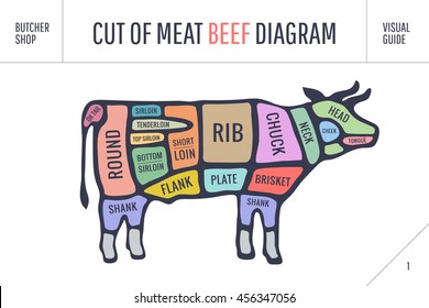 Cut of meat set. Poster Butcher diagram and scheme - Cow. Colorful vintage typographic hand-drawn on white background for butcher shop. illustration
